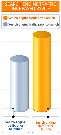 Search Engine Traffic Increased by 20%